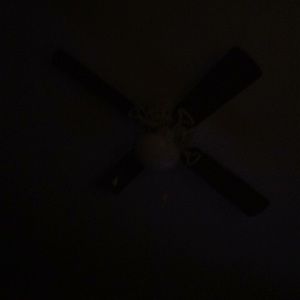 Meet your Posher, Carolinw